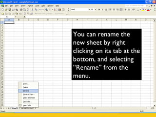 Copy/Cut & Paste:
To copy/cut the
data, highlight
from cell through
cell and copy the
data. Paste it on
the new sheet.
 