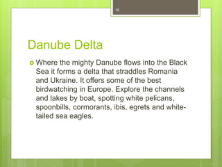 Danube Delta
 Where the mighty Danube flows into the Black
Sea it forms a delta that straddles Romania
and Ukraine. It offers some of the best
birdwatching in Europe. Explore the channels
and lakes by boat, spotting white pelicans,
spoonbills, cormorants, ibis, egrets and white-
tailed sea eagles.
10
 