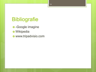 Bibliografie
 -Google imagine
 Wikipedia
 www.tripadvisio.com
14
 