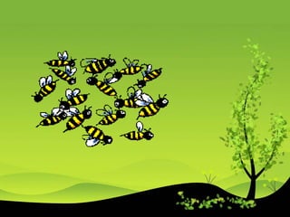 CURRICULUM EVALUATION AND THE TEACHER