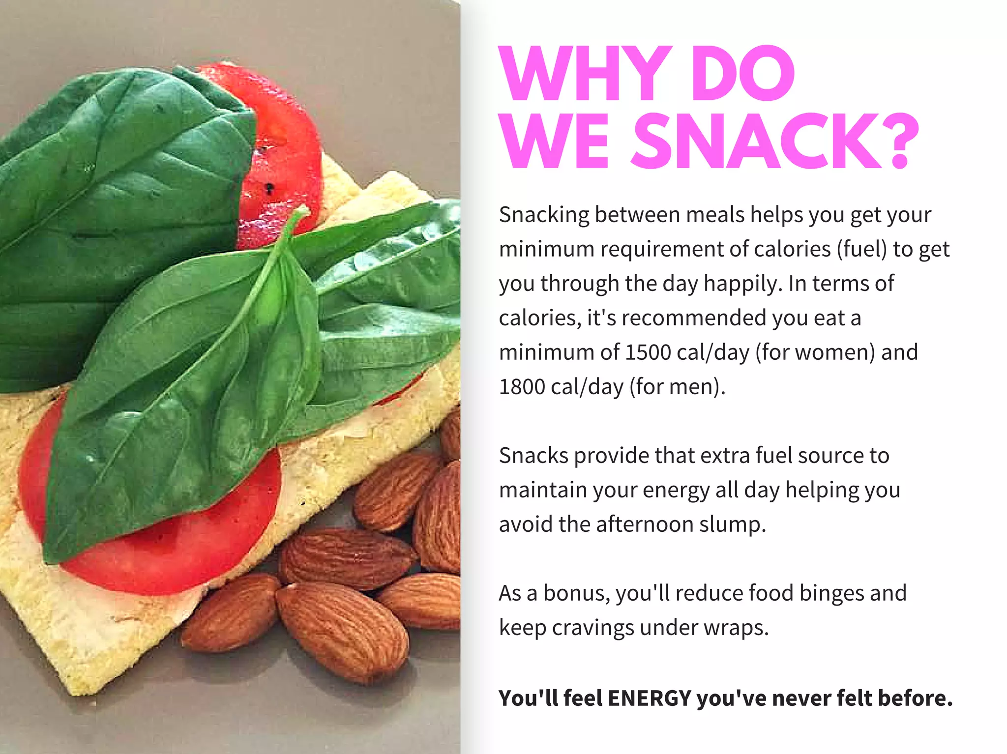 The Importance of Snacking | PDF