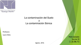 La contaminación del Suelo
y
La contaminación Sónica
Agosto, 2016
Profesora:
Laura Volta
 