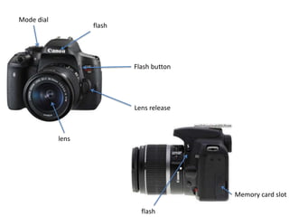 Mode dial
lens
flash
Lens release
Flash button
Memory card slot
flash
 
