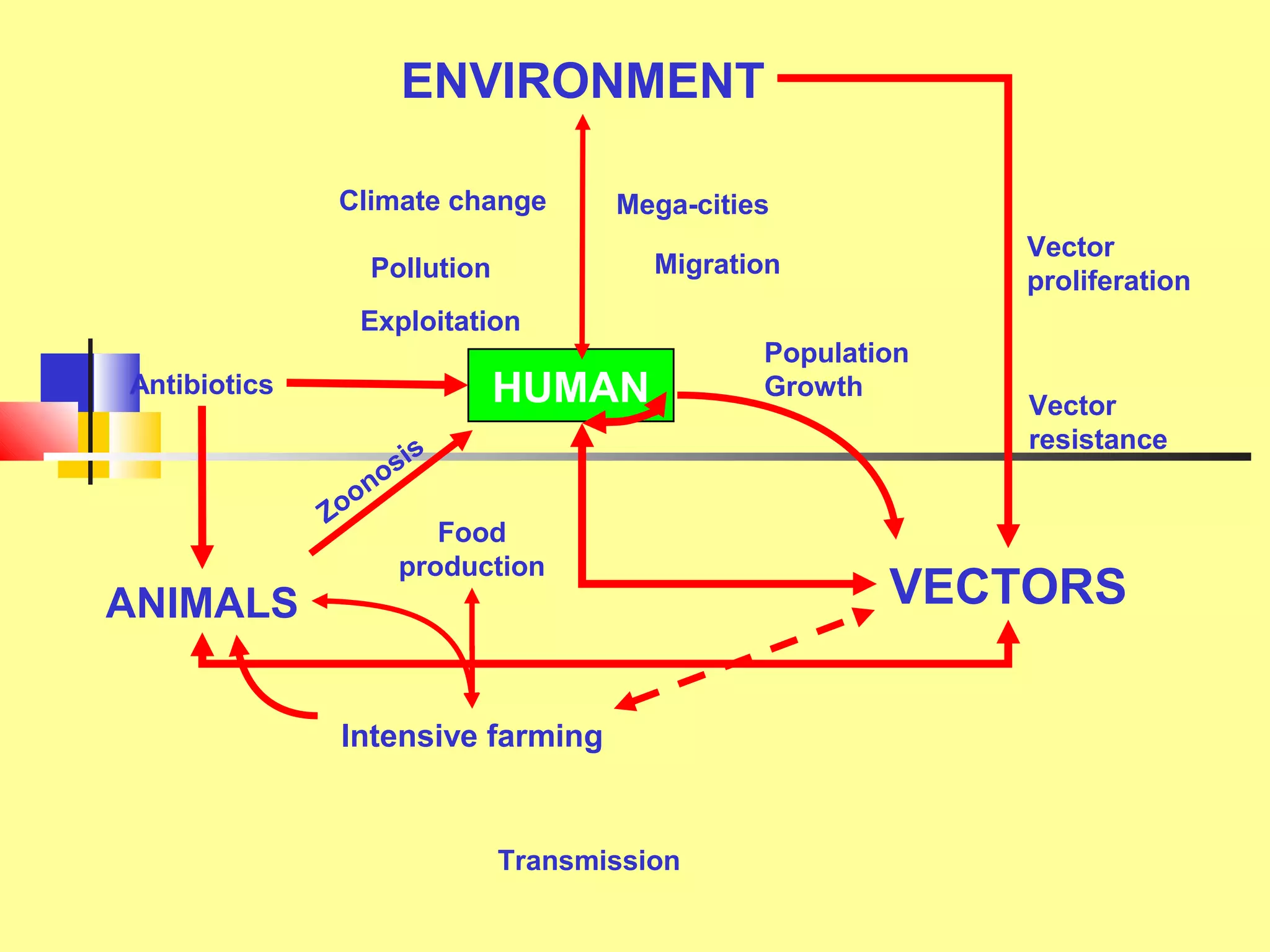 HUMAN
ANIMALS
ENVIRONMENT
VECTORS
Zoonosis
Population
Growth
Mega-cities
Migration
Exploitation
Pollution
Climate change
Vector
proliferation
Vector
resistance
Transmission
Antibiotics
Intensive farming
Food
production
 