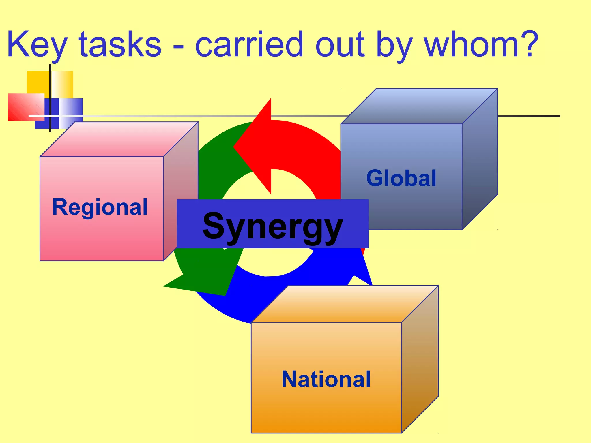 Key tasks - carried out by whom?
National
Regional
Global
Synergy
 