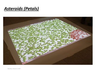 Saturday, January 21, 2017
Asteroids (Petals)
 