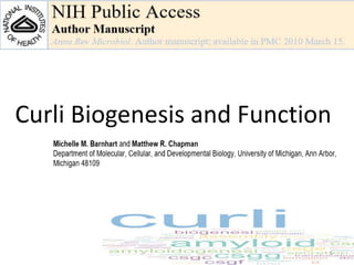 Curli Biogenesis and Function
1
 