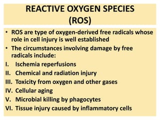 REACTIVE OXYGEN SPECIES
(ROS)
• ROS are type of oxygen-derived free radicals whose
role in cell injury is well established
• The circumstances involving damage by free
radicals include:
I. Ischemia reperfusions
II. Chemical and radiation injury
III. Toxicity from oxygen and other gases
IV. Cellular aging
V. Microbial killing by phagocytes
VI. Tissue injury caused by inflammatory cells
 