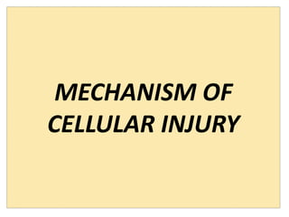 MECHANISM OF
CELLULAR INJURY
 