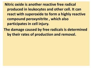 Nitric oxide is another reactive free radical
produced in leukocytes and other cell. It can
react with superoxide to form a highly reactive
compound peroxynitrite , which also
participates in cell injury.
The damage caused by free radicals is determined
by their rates of production and removal.
 