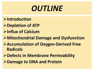 OUTLINE
Introduction
Depletion of ATP
Influx of Calcium
Mitochondrial Damage and Dysfunction
Accumulation of Oxygen-Derived Free
Radicals
Defects in Membrane Permeability
Damage to DNA and Protein
 