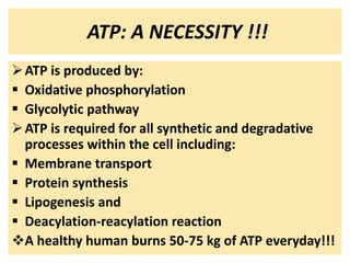 ATP: A NECESSITY !!!
ATP is produced by:
 Oxidative phosphorylation
 Glycolytic pathway
ATP is required for all synthetic and degradative
processes within the cell including:
 Membrane transport
 Protein synthesis
 Lipogenesis and
 Deacylation-reacylation reaction
A healthy human burns 50-75 kg of ATP everyday!!!
 