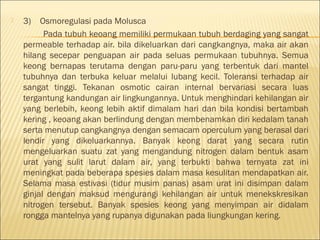  3)    Osmoregulasi pada Molusca
Pada tubuh keoang memiliki permukaan tubuh berdaging yang sangat
permeable terhadap air. bila dikeluarkan dari cangkangnya, maka air akan
hilang secepar penguapan air pada seluas permukaan tubuhnya. Semua
keong bernapas terutama dengan paru-paru yang terbentuk dari mantel
tubuhnya dan terbuka keluar melalui lubang kecil. Toleransi terhadap air
sangat tinggi. Tekanan osmotic cairan internal bervariasi secara luas
tergantung kandungan air lingkungannya. Untuk menghindari kehilangan air
yang berlebih, keong lebih aktif dimalam hari dan bila kondisi bertambah
kering , keoang akan berlindung dengan membenamkan diri kedalam tanah
serta menutup cangkangnya dengan semacam operculum yang berasal dari
lendir yang dikeluarkannya. Banyak keong darat yang secara rutin
mengeluarkan suatu zat yang mengandung nitrogen dalam bentuk asam
urat yang sulit larut dalam air, yang terbukti bahwa ternyata zat ini
meningkat pada beberapa spesies dalam masa kesulitan mendapatkan air.
Selama masa estivasi (tidur musim panas) asam urat ini disimpan dalam
ginjal dengan maksud mengurangi kehilangan air untuk menekskresikan
nitrogen tersebut. Banyak spesies keong yang menyimpan air didalam
rongga mantelnya yang rupanya digunakan pada liungkungan kering.
 