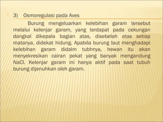  3)    Osmoregulasi pada Aves
Burung mengeluarkan kelebihan garam tersebut
melalui kelenjar garam, yang terdapat pada cekungan
dangkal dikepala bagian atas, disebelah atas setiap
matanya, didekat hidung. Apabila burung laut menghadapi
kelebihan garam didalm tubhnya, hewan itu akan
menyekresikan cairan pekat yang banyak mengandung
NaCl. Kelenjar garam ini hanya aktif pada saat tubuh
burung dijenuhkan oleh garam.
 