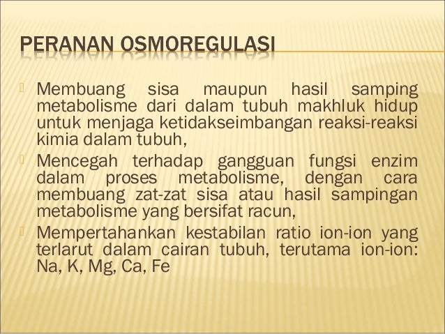 osmoregulasi pada hewan osmoregulasi pada hewan