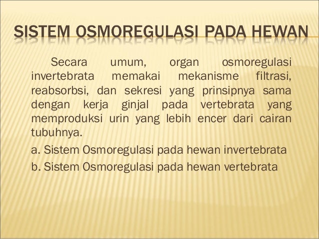 osmoregulasi pada hewan osmoregulasi pada hewan