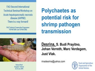 Polychaetes as
potential risk for
shrimp pathogen
transmission
Desrina, S. Budi Prayitno,
Johan Verreth, Marc Verdegem,
Just Vlak.
rinadesrina@yahoo.com
 