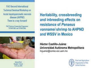 Heritability, crossbreeding
and inbreeding effects on
resistance of Penaeus
vannamei shrimp to AHPND
and WSSV in Mexico
Héctor Castillo-Juárez
Universidad Autónoma Metropolitana
hcjuarez@correo.xoc.uam.mx
 