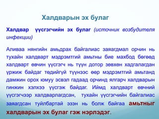 Presentation 2. халдварын хэлхээ | PPT
