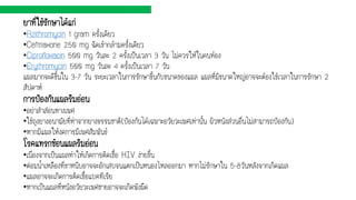ยาที่ใช้รักษาได้แก่
•Azithromycin 1 gram ครั้งเดียว
•Ceftriaxone 250 mg ฉีดเข้ากล้ามครั้งเดียว
•Ciprofloxacin 500 mg วันละ 2 ครั้งเป็นเวลา 3 วัน ไม่ควรให้ในคนท้อง
•Erythromycin 500 mg วันละ 4 ครั้งเป็นเวลา 7 วัน
แผลมากจะดีขึ้นใน 3-7 วัน ระยะเวลาในการรักษาขึ้นกับขนาดของแผล แผลที่มีขนาดใหญ่อาจจะต้องใช้เวลาในการรักษา 2
สัปดาห์
การป้องกันแผลริมอ่อน
•อย่าสาส่อนทางเพศ
•ใช้ถุงยางอนามัยที่ทาจากยางธรรมชาติ(ป้องกันได้เฉพาะอวัยวะเพศเท่านั้น ผิวหนังส่วนอื่นไม่สามารถป้องกัน)
•หากมีแผลให้งดการมีเพศสัมพันธ์
โรคแทรกซ้อนแผลริมอ่อน
•เนื่องจากเป็นแผลทาให้เกิดการติดเชื้อ HIV ง่ายขึ้น
•ต่อมน้าเหลืองที่ขาหนีบอาจจะอักเสบจนแตกเป็นหนองไหลออกมา หากไม่รักษาใน 5-8วันหลังจากเกิดแผล
•แผลอาจจะเกิดการติดเชื้อแบคทีเรีย
•หากเป็นแผลที่หนังอวัยวะเพศชายอาจจะเกิดพังผืด
 