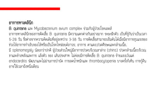 อาการทางคลินิก
B. quintana และ Mycobacterium avium complex ร่วมกับผู้ป่วยโรคเอดส์
อาการทางคลินิกของการติดเชื้อ B. quintana มีความแตกต่างกันอย่างมาก ระยะฟักตัว เป็นที่รู้กันว่าเป็นเวลา
5-20 วัน ซึ่งต่างจากความคิดเดิมที่อยู่ระหว่าง 3-38 วัน การติดเชื้อสามารถเริ่มต้นได้เมื่อมีอาการรุนแรงของ
ช่วงไข้อาการกาเริบของไข้หรือเป็นโรคไทฟอยด์ถาวร; อาการ ตาแดง,ปวดศีรษะและกล้ามเนื้อ,
มี splenomegaly น้อยกว่าปกติ ผู้ป่วยส่วนใหญ่มีอาการปวดบริเวณขาล่าง (shins) ปวดกล้ามเนื้อบริเวณ
ขาและข้างหลังและการ แข็งตัว ของ เส้นประสาท ไม่ค่อยมีการติดเชื้อ B. quintana ร้ายแรงเว้นแต่
endocarditis พัฒนาและไม่ผ่านการบาบัด การลดน้าหนักและ thrombocytopenia บางครั้งก็เห็น การกู้คืน
อาจใช้เวลาถึงหนึ่งเดือน
 