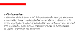 การวินิจฉัยและการรักษา
การวินิจฉัยว่ามีการติดเชื้อ B. quintana จาเป็นต้องใช้เทคนิคการเพาะเลี้ยง serological หรือเทคนิคการ
ขยายกรดนิวคลีอิก เพื่อแยกความแตกต่างระหว่างชนิดต่างๆการตรวจวัด immunofluorescence ที่ใช้
antisera ของเมาส์ถูกนามาใช้เช่นเดียวกับ การผสมผสาน DNA และการจากัดความยาวของความยาวส่วนที่
จากัด หรือลาดับเบสของ cytrate synthase การรักษามักประกอบด้วย 4-6 สัปดาห์ของหลักสูตร
doxycycline , erythromycin หรือ azithromycin
 