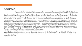 ระบาดวิทยา
ไอกรนเป็นโรคที่ติดต่อกันได้ง่ายจากการไอ จาม รดกันโดยตรง ผู้สัมผัสโรคที่ไม่มีภูมิคุ้มกันจะ
ติดเชื้อและเกิดโรคเกือบทุกราย โรคนี้พบได้บ่อยในเด็ก ส่วนใหญ่ติดเชื้อมาจากผู้ใหญ่ในครอบครัว ซึ่งมีการติด
เชื้อแต่ไม่มีอาการ (carrier) หรือมีอาการไม่มาก โรคไอกรนเป็นได้กับทารกตั้งแต่เดือนแรก ทั้งนี้ เนื่องจาก
ภูมิคุ้มกันจากแม่ผ่านมายังลูกไม่ได้หรือได้น้อยมาก ในเด็กเล็กอาการจะรุนแรงมากและมีอัตราตายสูง ส่วนใหญ่
ของผู้ที่มีอาการรุนแรงและเสียชีวิต เป็นเด็กอายุต่ากว่า 1 ปีและเป็นเด็กที่ไม่เคยได้รับวัคซีนมาก่อน โดยทั่วไป
แล้ว โรคนี้เป็นได้ทุกอายุ ถ้าไม่มีภูมิคุ้มกัน แต่ในวัยหนุ่มสาว หรือผู้ใหญ่อาจไม่มีอาการ หรือไม่มีอาการแบบ
ไอกรน ส่วนใหญ่จึงไม่ได้รับการวินิจฉัยว่าเป็นโรคไอกรน
ระยะฟักตัวของโรคประมาณ 6-20 วัน ที่พบบ่อย 7-10 วัน ถ้าสัมผัสโรคมาเกิน 3 สัปดาห์แล้วไม่มีอาการ
แสดงว่าไม่ติดโรค
 