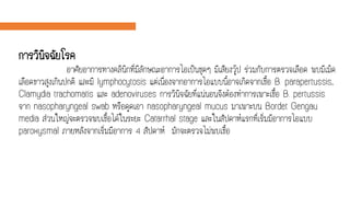 การวินิจฉัยโรค
อาศัยอาการทางคลินิกที่มีลักษณะอาการไอเป็นชุดๆ มีเสียงวู๊ป ร่วมกับการตรวจเลือด พบมีเม็ด
เลือดขาวสูงเกินปกติ และมี lymphocytosis แต่เนื่องจากอาการไอแบบนี้อาจเกิดจากเชื้อ B. parapertussis,
Clamydia trachomatis และ adenoviruses การวินิจฉัยที่แน่นอนจึงต้องทาการเพาะเชื้อ B. pertussis
จาก nasopharyngeal swab หรือดูดเอา nasopharyngeal mucus มาเพาะบน Bordet Gengau
media ส่วนใหญ่จะตรวจพบเชื้อได้ในระยะ Catarrhal stage และในสัปดาห์แรกที่เริ่มมีอาการไอแบบ
paroxysmal ภายหลังจากเริ่มมีอาการ 4 สัปดาห์ มักจะตรวจไม่พบเชื้อ
 
