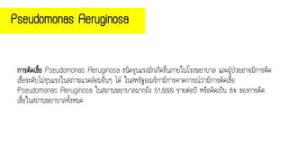 Pseudomonas Aeruginosa
การติดเชื้อ Pseudomonas Aeruginosa ชนิดรุนแรงมักเกิดขึ้นภายในโรงพยาบาล และผู้ป่วยอาจมีการติด
เชื้อระดับไม่รุนแรงในสภาพแวดล้อมอื่นๆ ได้ ในสหรัฐอเมริกามีการคาดการณ์ว่ามีการติดเชื้อ
Pseudomonas Aeruginosa ในสถานพยาบาลมากถึง 51,000 รายต่อปี หรือคิดเป็น 8% ของการติด
เชื้อในสถานพยาบาลทั้งหมด
 