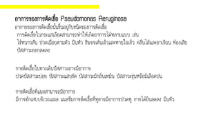 อาการของการติดเชื้อ Pseudomonas Aeruginosa
อาการของการติดเชื้อนั้นขึ้นอยู่กับชนิดของการติดเชื้อ
การติดเชื้อในกระแสเลือดสามารถทาให้เกิดอาการได้หลายแบบ เช่น
ไข้หนาวสั่น ปวดเมื่อยตามตัว มึนหัว ชีพจรเต้นเร็วและหายใจเร็ว คลื่นไส้และอาเจียน ท้องเสีย
ปัสสาวะออกลดลง
การติดเชื้อในทางเดินปัสสาวะอาจมีอาการ
ปวดปัสสาวะบ่อย ปัสสาวะแสบขัด ปัสสาวะมีกลิ่นเหม็น ปัสสาวะขุ่นหรือมีเลือดปน
การติดเชื้อที่แผลสามารถมีอาการ
มีการอักเสบบริเวณแผล แผลซึมการติดเชื้อที่หูอาจมีอาการปวดหู การได้ยินลดลง มึนหัว
 