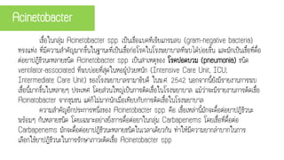 Acinetobacter
เชื้อในกลุ่ม Acinetobacter spp. เป็นเชื่อแบคทีเรียแกรมลบ (gram-negative bacteria)
ทรงแท่ง ที่มีความสาคัญมากขึ้นในฐานะที่เป็นเชื้อก่อโรคในโรงพยาบาลที่พบได้บ่อยขึ้น และมักเป็นเชื้อที่ดื้อ
ต่อยาปฏิชีวนะหลายชนิด Acinetobacter spp. เป็นสาเหตุของ โรคปอดบวม (pneumonia) ชนิด
ventilator-associated ที่พบบ่อยที่สุดในหอผู้ป่วยหนัก (Intensive Care Unit, ICU;
Intermediate Care Unit) ของโรงพยาบาลรามาธิบดี ในพ.ศ. 2542 นอกจากนี้ยังมีรายงานการพบ
เชื้อนี้มากขึ้นในหลายๆ ประเทศ โดยส่วนใหญ่เป็นการติดเชื้อในโรงพยาบาล แม้ว่าจะมีรายงานการติดเชื้อ
Acinatobacter จากชุมชน แต่ก็ไม่มากนักเมื่อเทียบกับการติดเชื้อในโรงพยาบาล
ความสาคัญอีกประการหนึ่งของ Acinetobacter spp. คือ เชื้อเหล่านี้มักจะดื้อต่อยาปฏิชีวนะ
พร้อมๆ กันหลายชนิด โดยเฉพาะอย่างยิ่งการดื้อต่อยาในกลุ่ม Carbapenems โดยเชื้อที่ดื้อต่อ
Carbapenems มักจะดื้อต่อยาปฏิชีวนะหลายชนิดในเวลาเดียวกัน ทาให้มีความยากลาบากในการ
เลือกใช้ยาปฏิชีวนะในการรักษาภาวะติดเชื้อ Acinetobacter spp
 