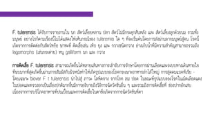 F. tularensis ได้รับการรายงานใน นก สัตว์เลื้อยคลาน ปลา สัตว์ไม่มีกระดูกสันหลัง และ สัตว์เลี้ยงลูกด้วยนม รวมทั้ง
มนุษย์ อย่างไรก็ตามเรื่องนี้ไม่ได้แสดงให้เห็นกรณีของ tularemia ใด ๆ ที่จะเริ่มต้นโดยการส่งผ่านจากมนุษย์สู่คน โรคนี้
เกิดจากการติดต่อกับสัตว์หรือ พาหะที่ ติดเชื้อเช่น เห็บ ยุง และ กวางชนิดกวาง อ่างเก็บน้าที่มีความสาคัญสามารถรวมถึง
lagomorphs (เช่นกระต่าย) หนู galliform นก และ กวาง
การติดเชื้อ F. tularensis สามารถเกิดขึ้นได้หลายเส้นทางการเข้ารับการรักษาโดยการผ่านเลือดและระบบทางเดินหายใจ
ที่พบมากที่สุดเกิดขึ้นผ่านการสัมผัสกับผิวหนังทาให้เกิดรูปแบบของโรคกระเพาะอาหารลาไส้ใหญ่ การสูดดมแบคทีเรีย -
โดยเฉพาะ biovar F. t tularensis นาไปสู่ ภาวะ โลหิตจาง จากโรค ลม ปอด ในขณะที่รูปแบบของโรคในเม็ดเลือดแดง
ในปอดและทรวงอกเป็นเรื่องปกติมากขึ้นมีการอธิบายถึงวิธีการฉีดวัคซีนอื่น ๆ และรวมถึงการติดเชื้อที่ ช่องปากอักเสบ
เนื่องจากการบริโภคอาหารที่ปนเปื้อนและการติดเชื้อในตาซึ่งเกิดจากการฉีดวัคซีนที่ตา
 