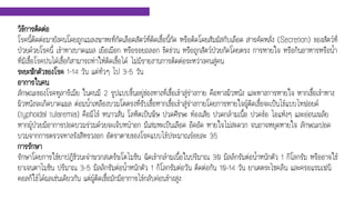 วิธีการติดต่อ
โรคนี้ติดต่อมายังคนโดยถูกแมลงพาหะที่กัดเลือดสัตว์ที่ติดเชื้อนี้กัด หรือติดโดยสัมผัสกับเลือด สารคัดหลั่ง (Secretion) ของสัตว์ที่
ป่วยด้วยโรคนี้ เข้าทางบาดแผล เยือเมือก หรือรอยถลอก ขีดข่วน หรือถูกสัตว์ป่วยกัดโดยตรง การหายใจ หรือกินอาหารหรือน้า
ที่มีเชื้อโรคปนได้เชื้อก็สามารถทาให้ติดเชื้อได้ ไม่มีรายงานการติดต่อระหว่างคนสู่คน
ระยะฟักตัวของโรค 1-14 วัน แต่ทั่วๆ ไป 3-5 วัน
อาการในคน
ลักษณะของโรคทูลารีเมีย ในคนมี 2 รูปแบบขึ้นอยู่ช่องทางที่เชื้อเข้าสู่ร่างกาย คือทางผิวหนัง และทางการหายใจ หากเชื้อเข้าทาง
ผิวหนังจะเกิดบาดแผล ต่อมน้าเหลืองบวมโตตรงที่รับเชื้อหากเชื้อเข้าสู่ร่างกายโดยการหายใจผู้ติดเชื้อจะเป็นไข้แบบไทฟอยด์
(typhoidal tularemia) คือมีไข้ หนาวสั่น โลหิตเป็นพิษ ปวดศีรษะ ท้องเสีย ปวดกล้ามเนื้อ ปวดข้อ ไอแห้งๆ และอ่อนเพลีย
หากผู้ป่วยมีอาการปอดบวมร่วมด้วยจะเจ็บหน้าอก มีเสมหะเป็นเลือด อึดอัด หายใจไม่สะดวก จนอาจหยุดหายใจ ลักษณะปอด
บวมจากการตรวจทางรังสีทรวงอก อัตราตายของโรคแบบไข้ประมาณร้อยละ 35
การรักษา
รักษาโดยการใช้ยาปฏิชีวนะจาพวกสเตร็พโตไมซิน ฉีดเข้ากล้ามเนื้อในปริมาณ 30 มิลลิกรัมต่อน้าหนักตัว 1 กิโลกรัม หรืออาจใช้
ยาเจนตาไมซิน ปริมาณ 3-5 มิลลิกรัมต่อน้าหนักตัว 1 กิโลกรัมต่อวัน ติดต่อกัน 10-14 วัน ยาเตตระไซคลีน และครอแรมเฟนิ
คอลก็ใช้ได้ผลเช่นเดียวกัน แต่ผู้ติดเชื้อมักมีอาการไข้กลับค่อนข้างสูง
 