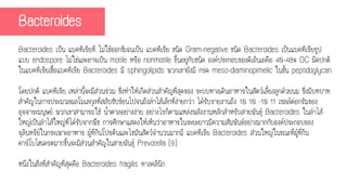 Bacteroides เป็น แบคทีเรียที่ ไม่ใช้ออกซิเจนเป็น แบคทีเรีย ชนิด Gram-negative ชนิด Bacteroides เป็นแบคทีเรียรูป
แบบ endospore ไม่ใช่และอาจเป็น motile หรือ nonmotile ขึ้นอยู่กับชนิด องค์ประกอบของดีเอ็นเอคือ 40-48% GC ผิดปกติ
ในแบคทีเรียเชื้อแบคทีเรีย Bacteroides มี sphingolipids พวกเขายังมี กรด meso-diaminopimelic ในชั้น peptidoglycan
โดยปกติ แบคทีเรีย เหล่านี้จะมีส่วนร่วม ซึ่งทาให้เกิดส่วนสาคัญที่สุดของ ระบบทางเดินอาหารในสัตว์เลี้ยงลูกด้วยนม ซึ่งมีบทบาท
สาคัญในการประมวลผลโมเลกุลที่สลับซับซ้อนไปจนถึงลาไส้เล็กที่ง่ายกว่า ได้รับรายงานถึง 10 10 -10 11 เซลล์ต่อกรัมของ
อุจจาระมนุษย์ พวกเขาสามารถใช้ น้าตาลอย่างง่าย อย่างไรก็ตามแหล่งพลังงานหลักสาหรับสายพันธุ์ Bacteroides ในลาไส้
ใหญ่เป็นลาไส้ใหญ่ที่ได้รับจากพืช การศึกษาแสดงให้เห็นว่าอาหารในระยะยาวมีความสัมพันธ์อย่างมากกับองค์ประกอบของ
จุลินทรีย์ในกระเพาะอาหาร ผู้ที่กินโปรตีนและไขมันสัตว์จานวนมากมี แบคทีเรีย Bacteroides ส่วนใหญ่ในขณะที่ผู้ที่กิน
คาร์โบไฮเดรตมากขึ้นจะมีส่วนสาคัญในสายพันธุ์ Prevotella [9]
หนึ่งในสิ่งที่สาคัญที่สุดคือ Bacteroides fragilis ทางคลินิก
Bacteroides
 