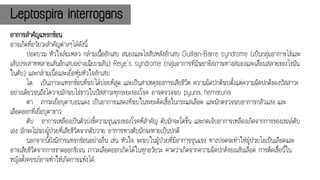 Leptospira interrogans
อาการสาคัญแทรกซ้อน
อาจเกิดที่อวัยวะสาคัญต่างๆได้ดังนี้
ปอดบวม หัวใจล้มเหลว กล้ามเนื้ออักเสบ สมองและไขสันหลังอักเสบ Guillain-Barre syndrome (เป็นกลุ่มอาการไข้และ
เส้นประสาทหลายเส้นอักเสบอย่างเฉียบพลัน) Reye's syndrome (กลุ่มอาการที่มีพยาธิสภาพทางสมองและเสื่อมสลายของไขมัน
ในตับ) และกล้ามเนื้อและเยื่อหุ้มหัวใจอักเสบ
ไต เป็นภาวะแทรกซ้อนที่พบได้บ่อยที่สุด และเป็นสาเหตุของการเสียชีวิต ความผิดปกติพบตั้งแต่ความผิดปกติของปัสสาวะ
อย่างเดียวจนถึงไตวายมักพบไข่ขาวในปัสสาวะทุกระยะของโรค อาจตรวจพบ pyuria, hematuria
ตา ภาวะเยื่อบุตาบอมแดง เป็นอาการแสดงที่พบในระยะติดเชื้อในกระแสเลือด และมักตรวจพบอาการกลัวแสง และ
เลือดออกที่เยื่อบุตาขาว
ตับ อาการเหลืองเป็นตัวบ่งชี้ความรุนแรงของโรคที่สาคัญ ตับมักจะโตขึ้น และกดเจ็บอาการเหลืองเกิดจากการของเซลล์ตับ
เอง มักจะไม่พบผู้ป่วยที่เสียชีวิตจากตับวาย อาการทางตับมักจะหายเป็นปกติ
นอกจากนี้ยังมีการแทรกซ้อนอย่างอื่น เช่น หัวใจ จะพบในผู้ป่วยที่มีอาการรุนแรง ทางปอดจะทาให้ผู้ป่วยไอเป็นเลือดและ
อาจเสียชีวิตจากการขาดออกซิเจน ภาวะเลือดออกเกิดได้ในทุกอวัยวะ คาดว่าเกิดจากความผิดปกติของเส้นเลือด การติดเชื้อนี้ใน
หญิงตั้งครรภ์อาจทาให้เกิดการแท้งได้
 