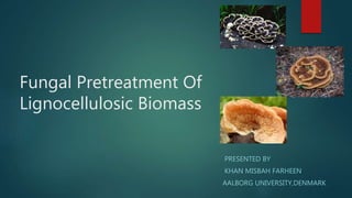 Fungal Pretreatment Of
Lignocellulosic Biomass
PRESENTED BY
KHAN MISBAH FARHEEN
AALBORG UNIVERSITY,DENMARK
 