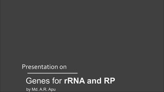 Presentation on
Genes for rRNA and RP
by Md. A.R. Apu
 
