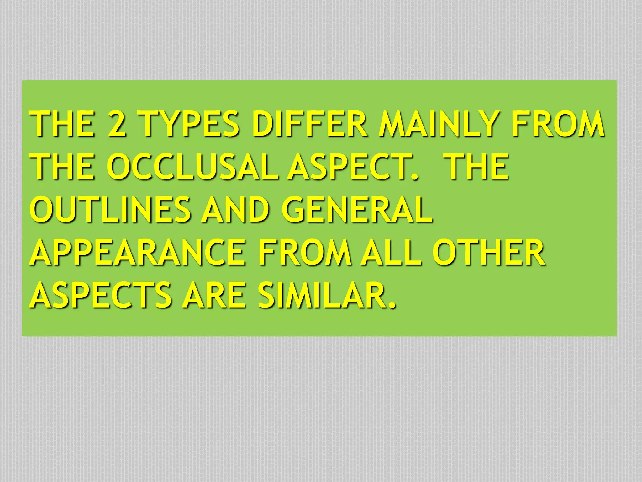THE 2 TYPES DIFFER MAINLY FROM
THE OCCLUSAL ASPECT. THE
OUTLINES AND GENERAL
APPEARANCE FROM ALL OTHER
ASPECTS ARE SIMILAR.
 
