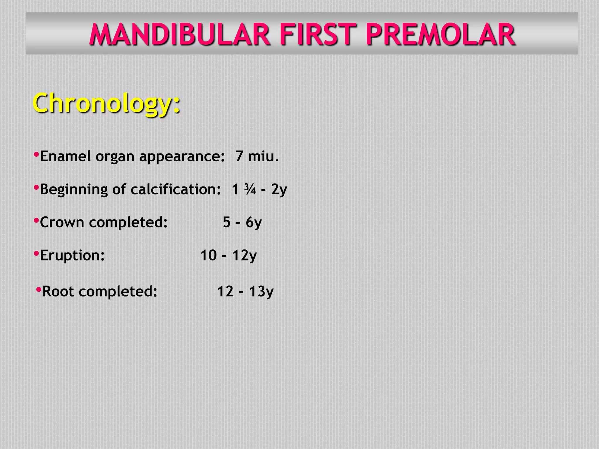 MANDIBULAR FIRST PREMOLAR
Chronology:
•Enamel organ appearance: 7 miu.
•Beginning of calcification: 1 ¾ - 2y
•Crown completed: 5 – 6y
•Eruption: 10 – 12y
•Root completed: 12 – 13y
 