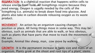 RESPIRATION: Is a chemical reaction that happens within cells to
release energy from food. All livingthings respire because they
need energy. Oxygen is usually needed by the cells of the
livingthing (i.e. animals) to break down food into glucose. And
plants also take in carbon dioxide releasing oxygen as its waste
product.
MOVEMENT: An action by an organism causing changes in
position or place. All living things move in some way. This may be
obvious, such as animals that are able to walk, or less obvious,
such as plants that have parts that move to track the movement of
the sun.
Example; Animal like sheep, man, cow move by walking.
GROWTH : It is the permanent increase in body size and mass of an
organism. Plants grow at the shoot and root tips of a plant, stems
 