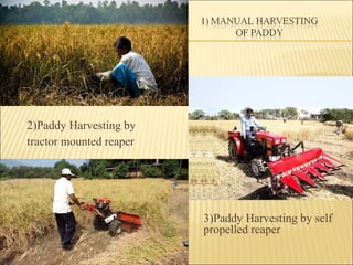 Case Study on mechanization in cultivation of paddy crop in gujarat ...