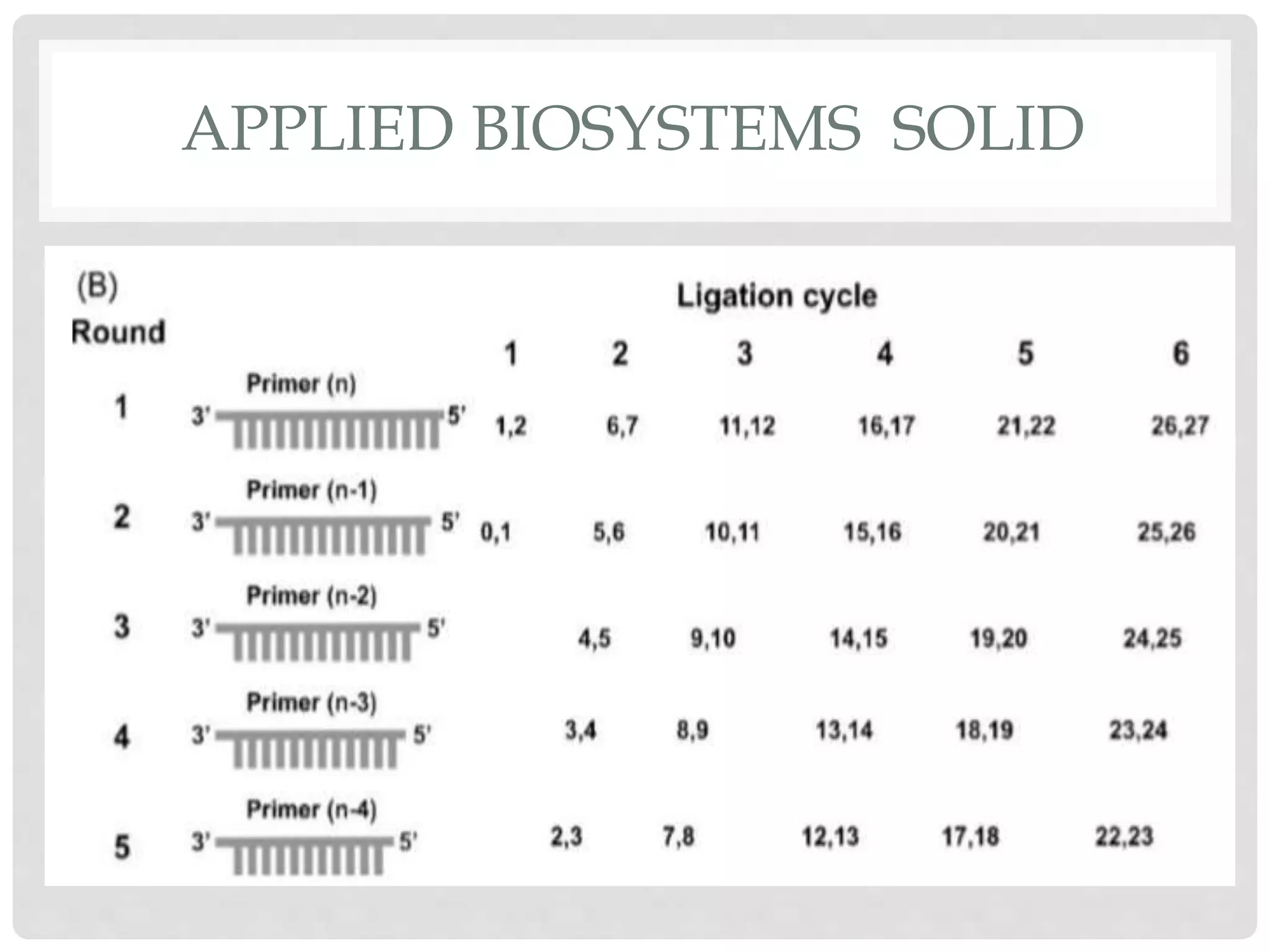 APPLIED BIOSYSTEMS SOLID
 