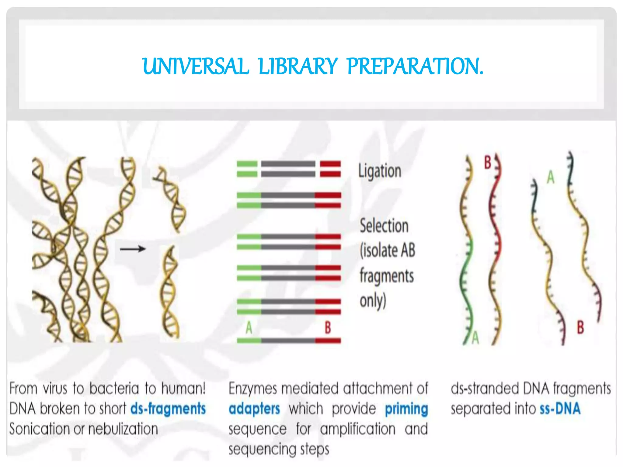 UNIVERSAL LIBRARY PREPARATION.
 