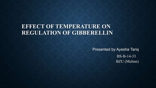 EFFECT OF TEMPERATURE ON
REGULATION OF GIBBERELLIN
Presented by Ayesha Tariq
BS-B-14-33
BZU (Multan)
 