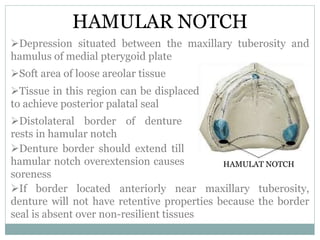 ANATOMICAL LANDMARKS OF MAXILLA | PPTX