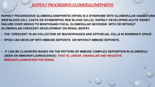 Rpgn Patterns nephrotic and nephritic syndrome | PPTX