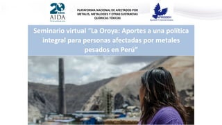 Seminario virtual “La Oroya: Aportes a una política
integral para personas afectadas por metales
pesados en Perú”
PLATAFORMA NACIONAL DE AFECTADOS POR
METALES, METALOIDES Y OTRAS SUSTANCIAS
QUÍMICAS TÓXICAS
 