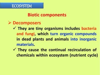 ECOSYSTEM
Biotic components
 Decomposers
 They are tiny organisms includes bacteria
and fungi, which turn organic compounds
in dead plants and animals into inorganic
materials.
 They cause the continual recirculation of
chemicals within ecosystem (nutrient cycle)
 