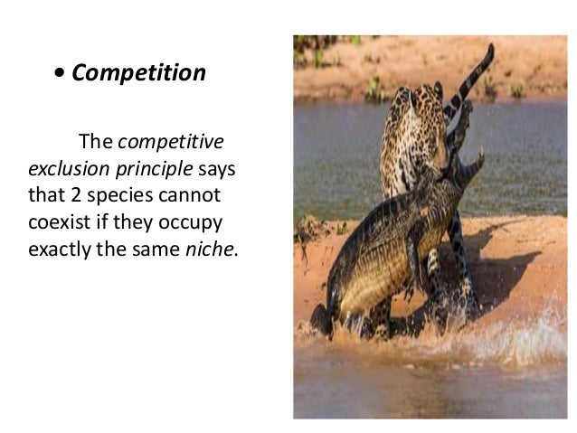 competitive exclusion principle definition biology competitive exclusion principle definition biology
