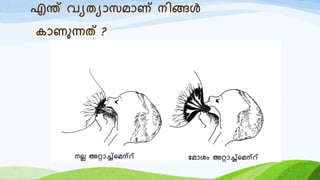 എന്ത് വയതയോസമോണ് നിങ്ങൾ
കോണുന്നത് ?
നലല അറോച്ച്റമന്് യമോശം അറോച്ച്റമന്്
 